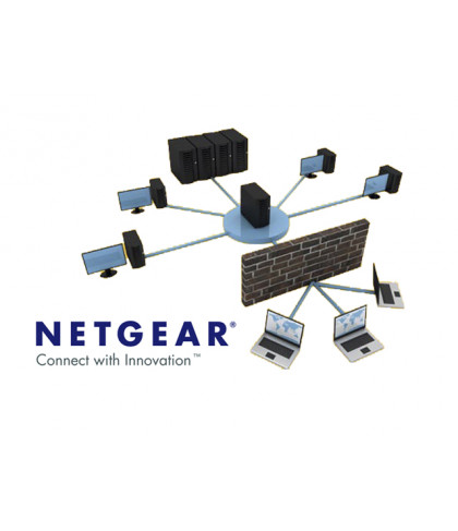 Система защиты от сетевых угроз NETGEAR STM150EW-100EUS