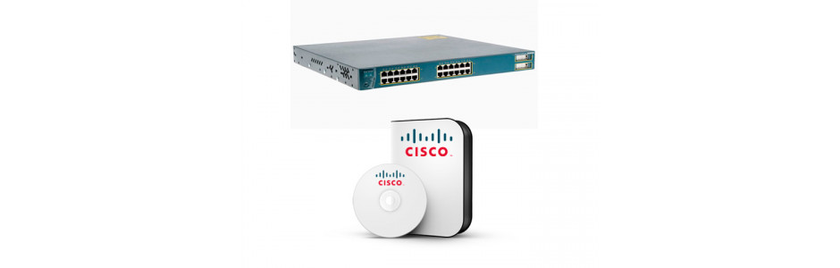 Cisco 3500 Series Software Options