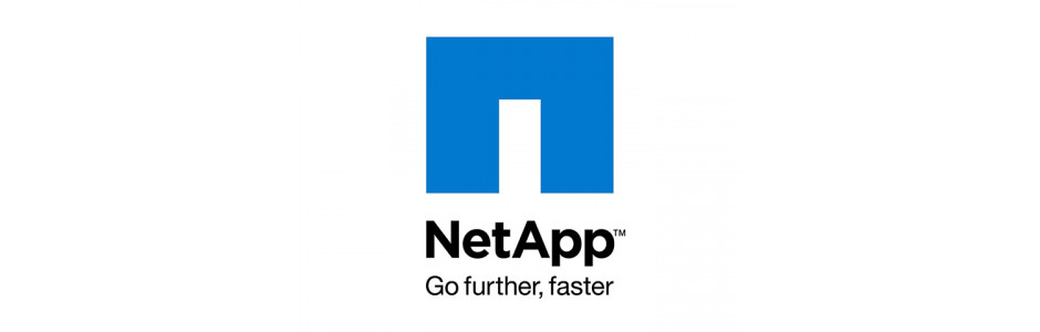 Открытые контроллеры NetApp V3210